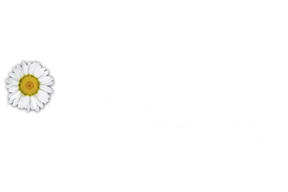 Elora Photography